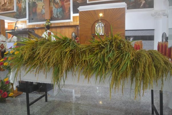 Monti Festh Celebrated with Faith and Fervour at St. Lawrence Church, Moodubelle - Photo 91